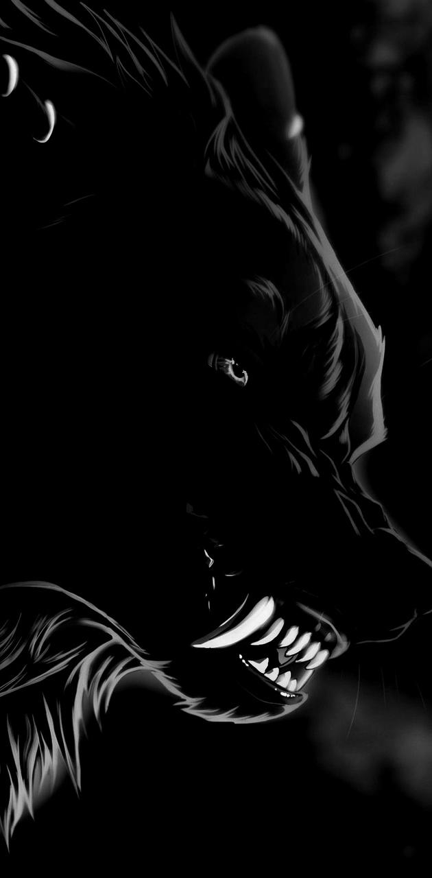 Detail Black Wolf Wallpaper Nomer 26