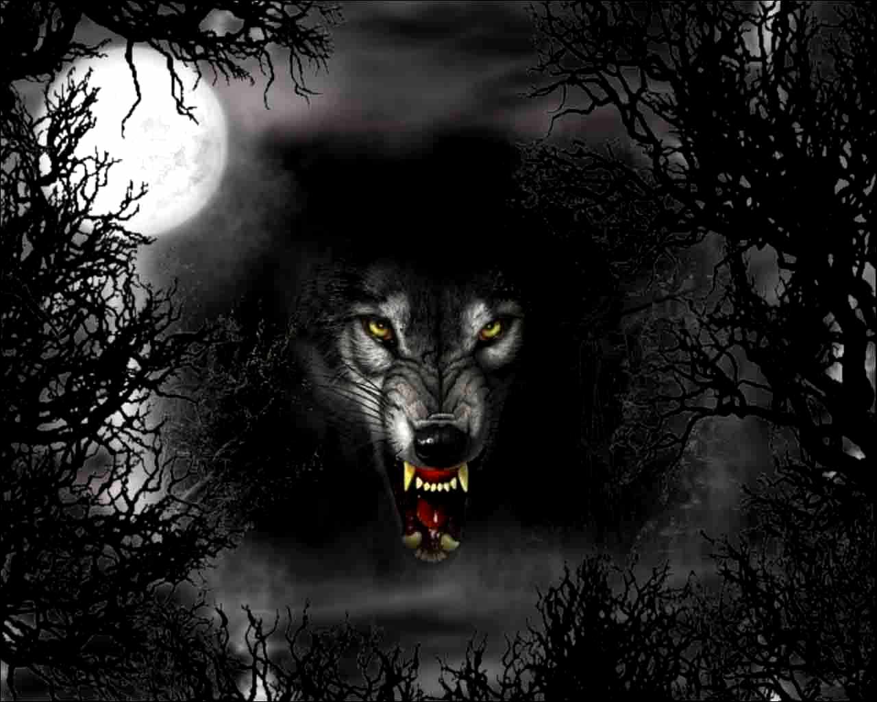 Detail Black Wolf Wallpaper Nomer 28