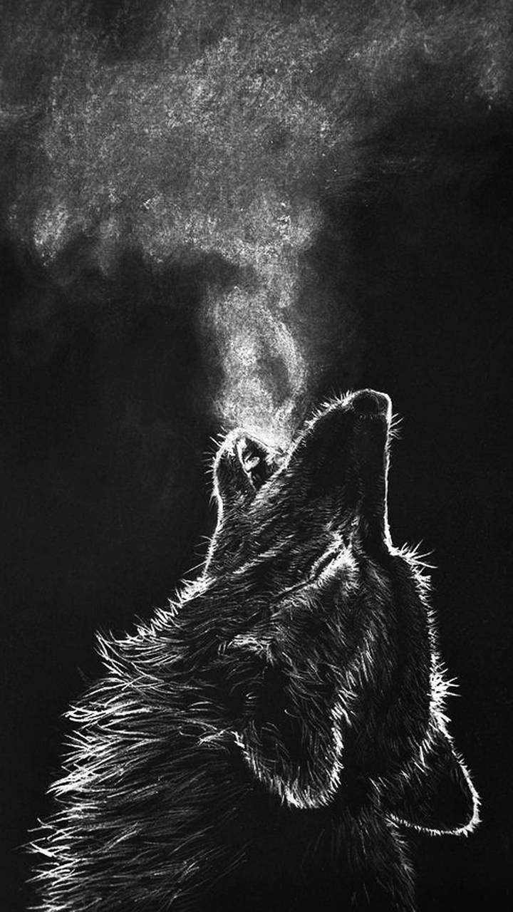 Detail Black Wolf Wallpaper Nomer 29