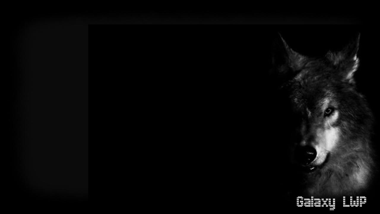 Detail Black Wolf Wallpaper Nomer 31