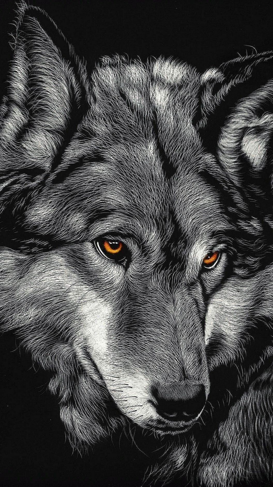 Detail Black Wolf Wallpaper Nomer 33