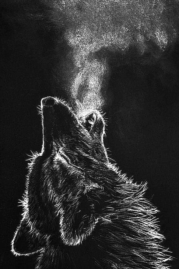 Detail Black Wolf Wallpaper Nomer 38