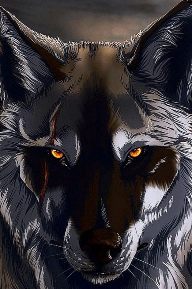 Detail Black Wolf Wallpaper Nomer 54