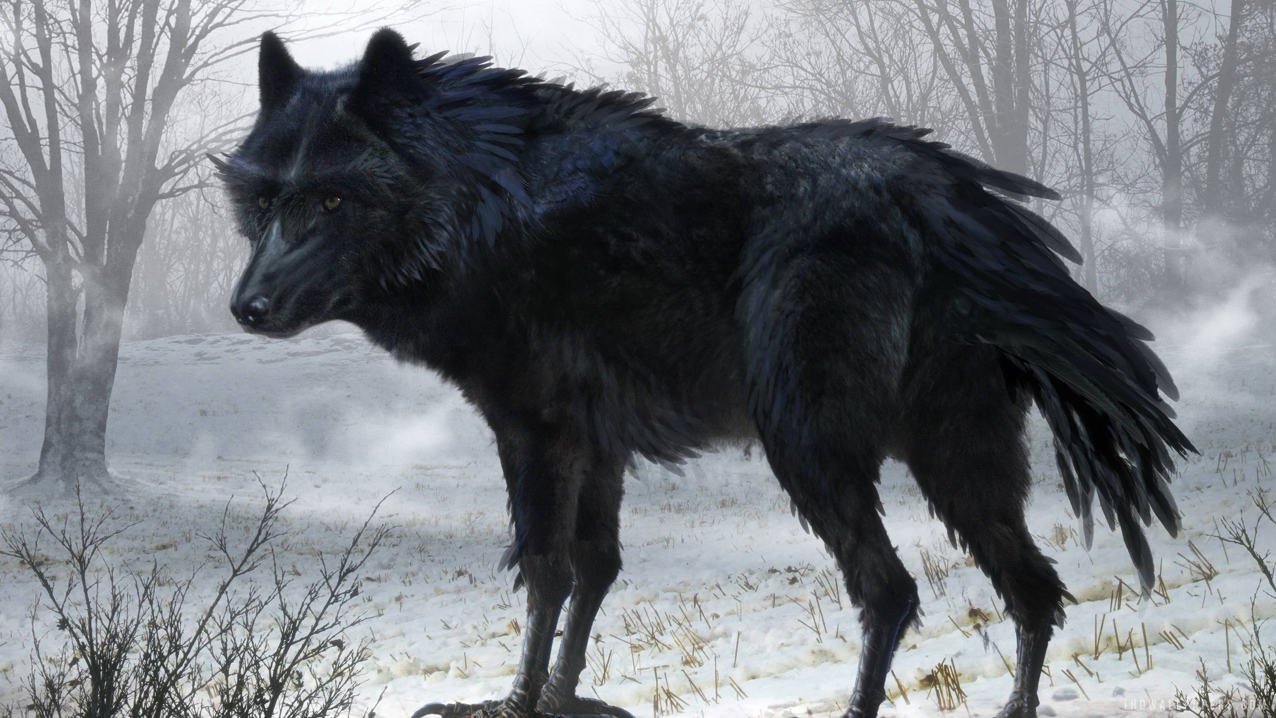 Detail Black Wolf Wallpaper Nomer 57