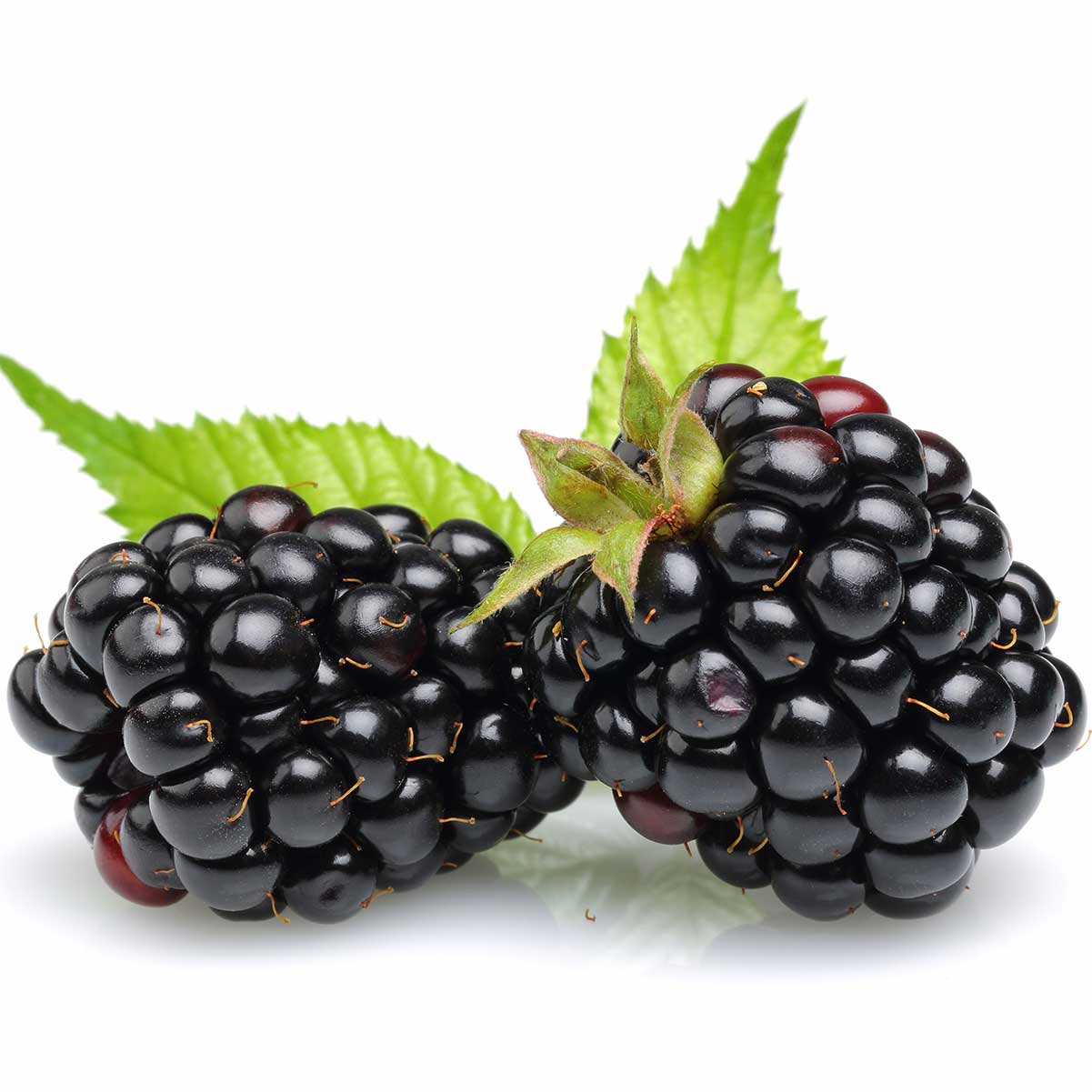 Detail Blackberries Images Nomer 3