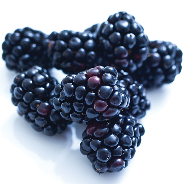 Detail Blackberries Images Nomer 21
