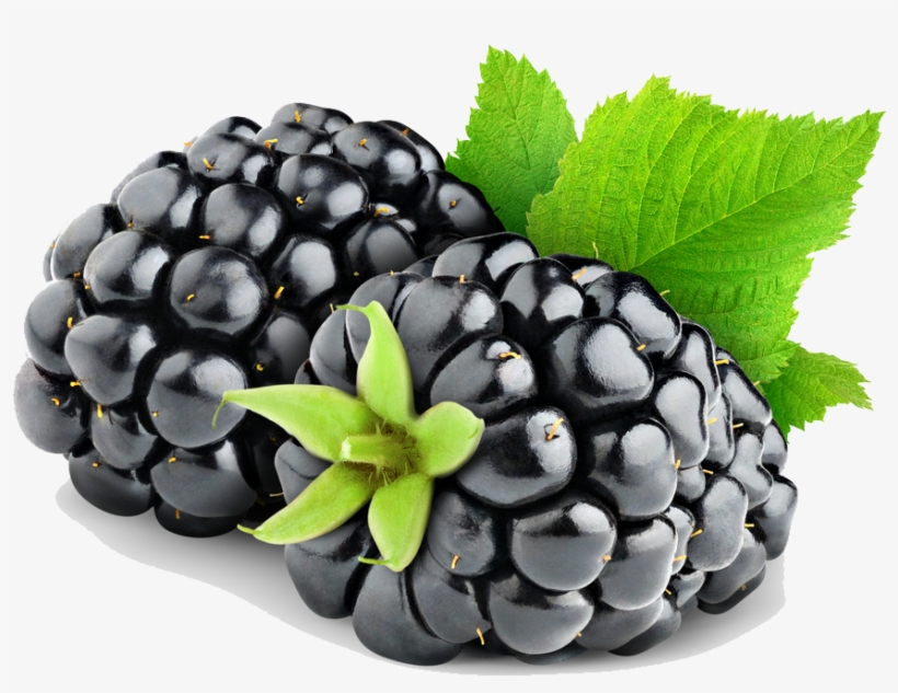 Detail Blackberries Png Nomer 17