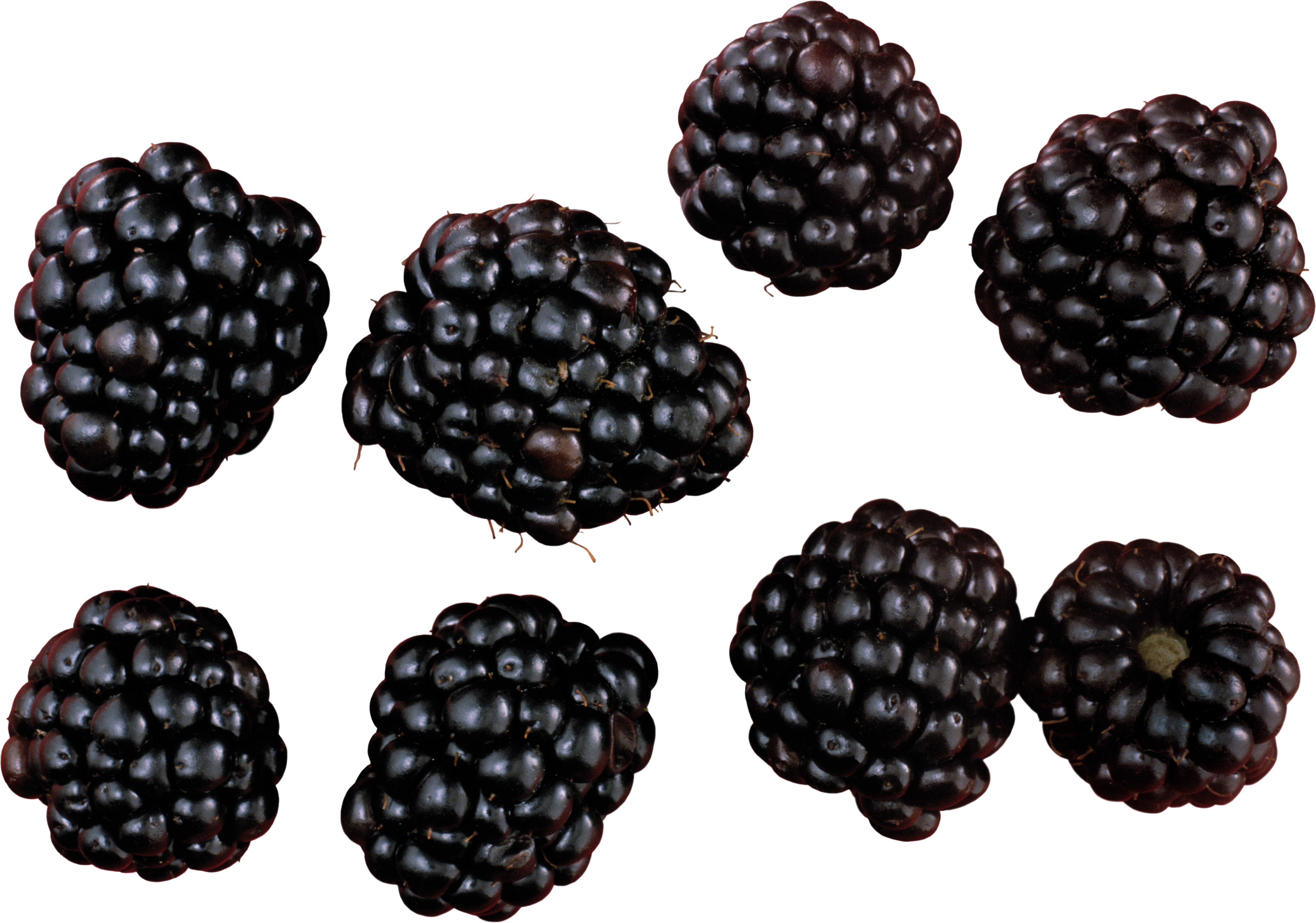 Detail Blackberries Png Nomer 20