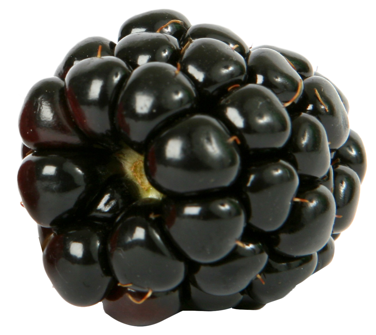 Detail Blackberries Png Nomer 29