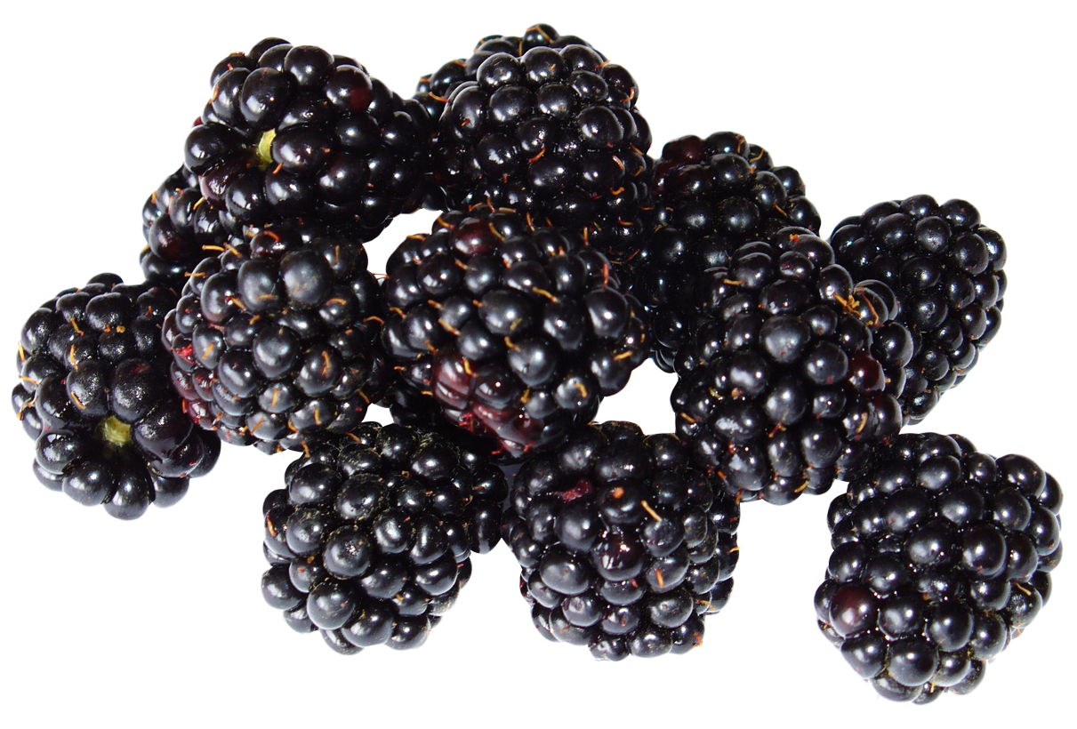 Detail Blackberries Png Nomer 5