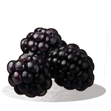 Detail Blackberries Png Nomer 41