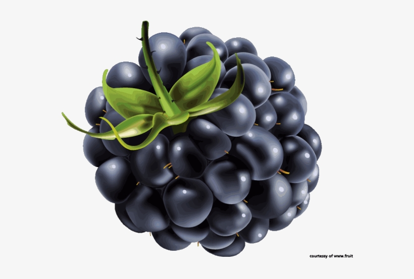 Detail Blackberries Png Nomer 42