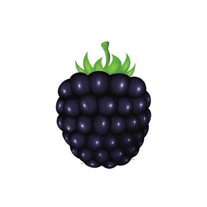 Detail Blackberry Clipart Nomer 3