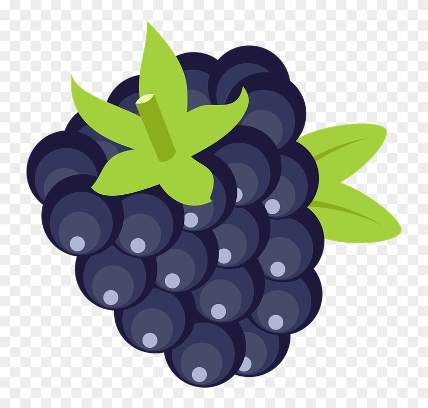 Detail Blackberry Clipart Nomer 6