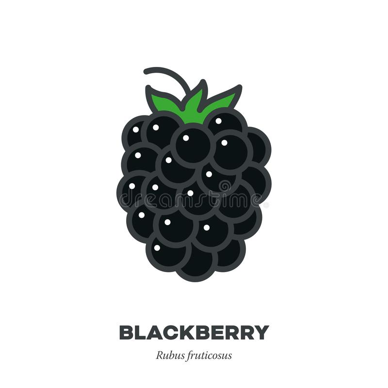 Detail Blackberry Fruit Clipart Nomer 5