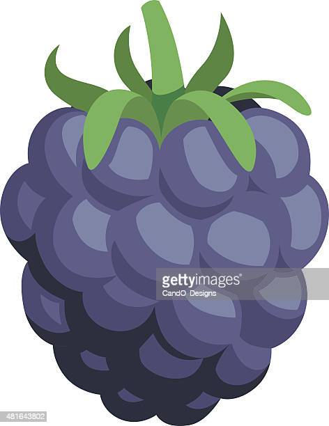 Detail Blackberry Fruit Clipart Nomer 44