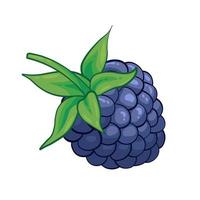 Detail Blackberry Fruit Clipart Nomer 49
