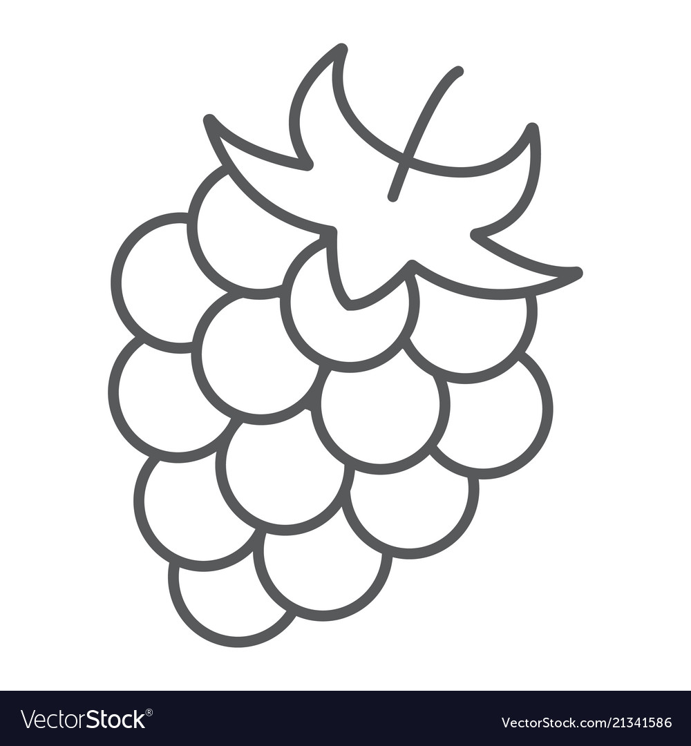 Detail Blackberry Fruit Image Nomer 42
