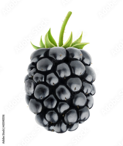 Detail Blackberry Fruit Picture Nomer 20
