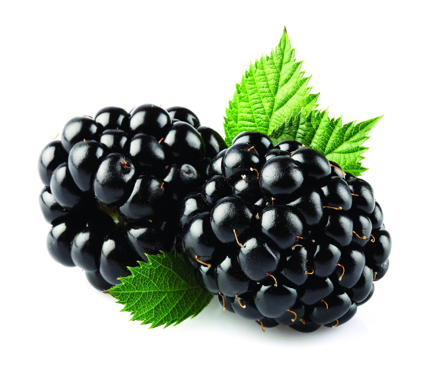 Detail Blackberry Fruit Picture Nomer 21