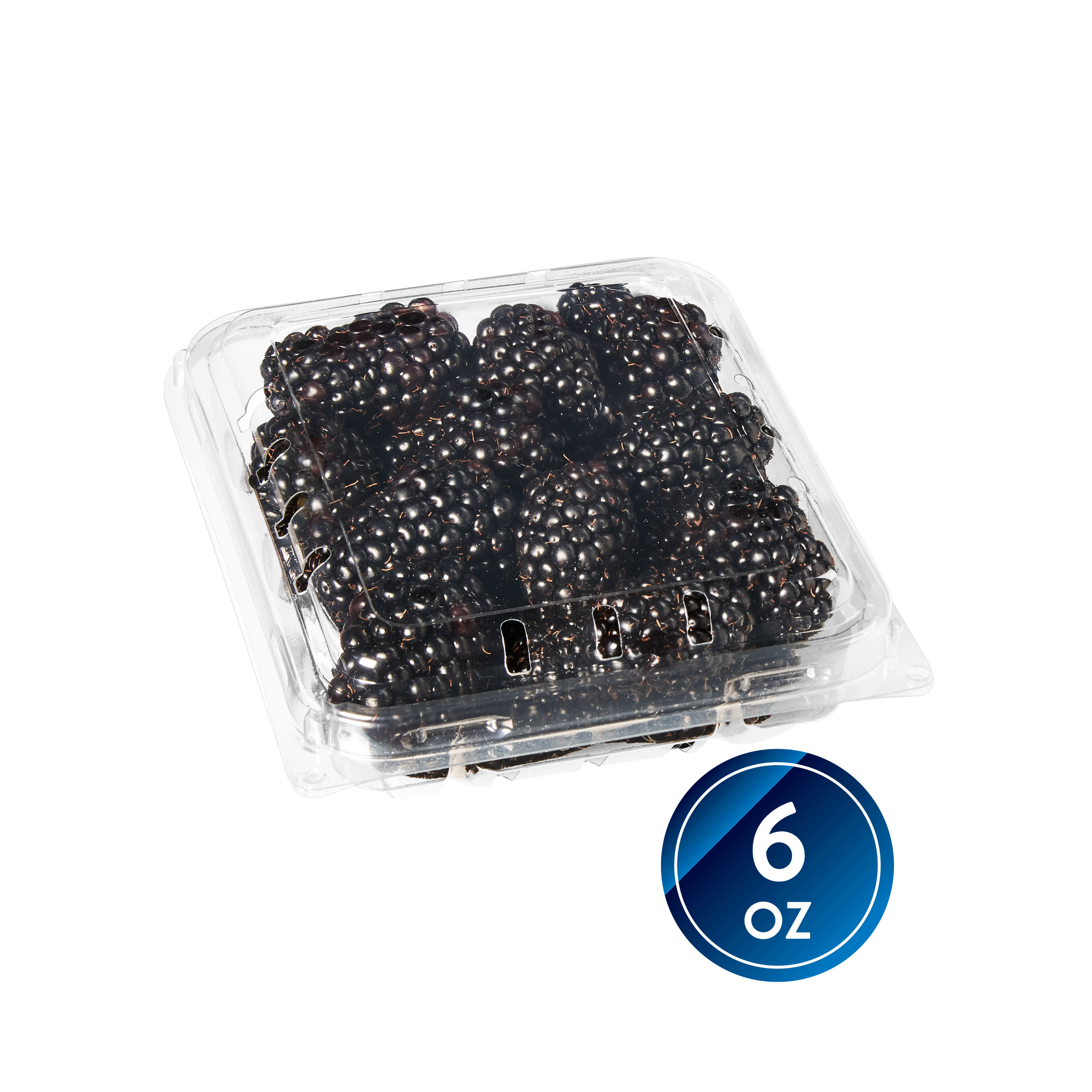 Detail Blackberry Fruit Picture Nomer 25
