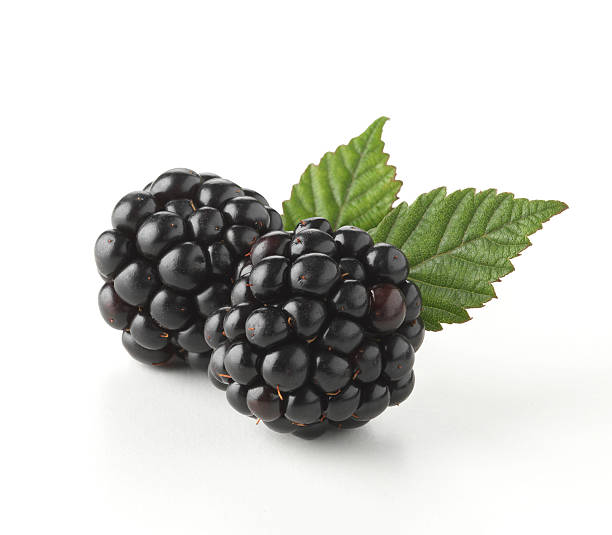 Detail Blackberry Image Nomer 2