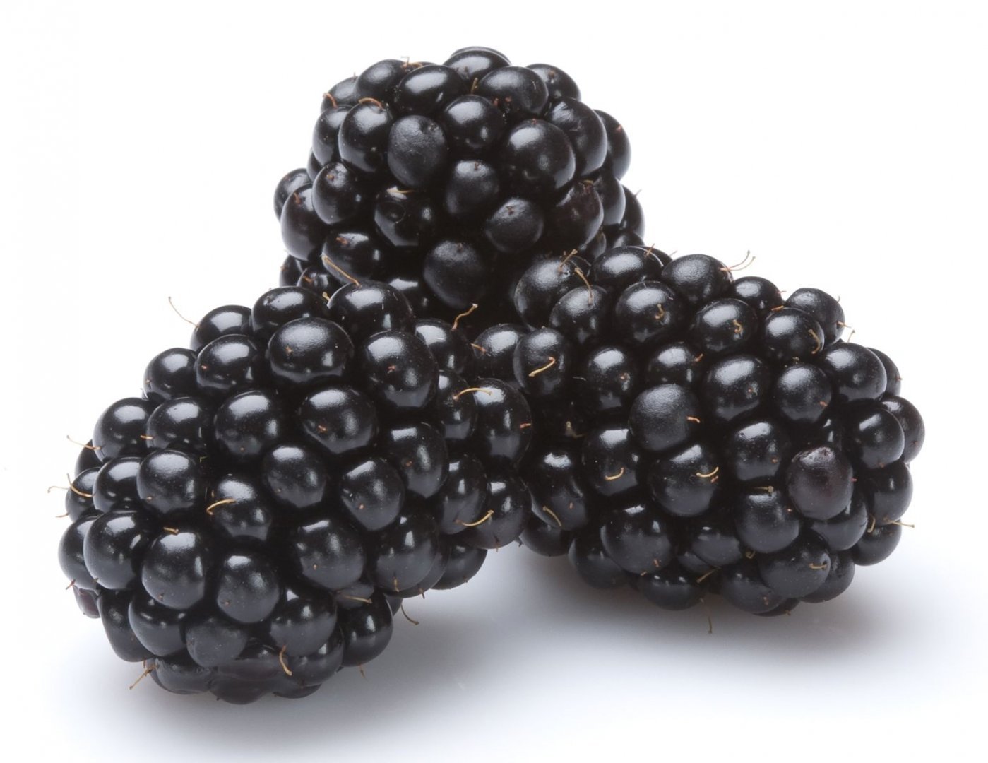 Detail Blackberry Image Nomer 19