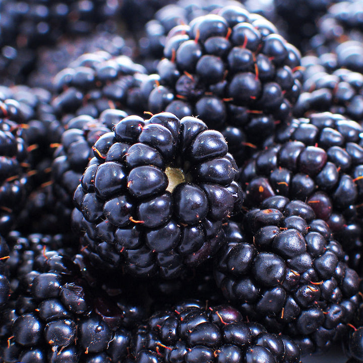 Detail Blackberry Image Nomer 20