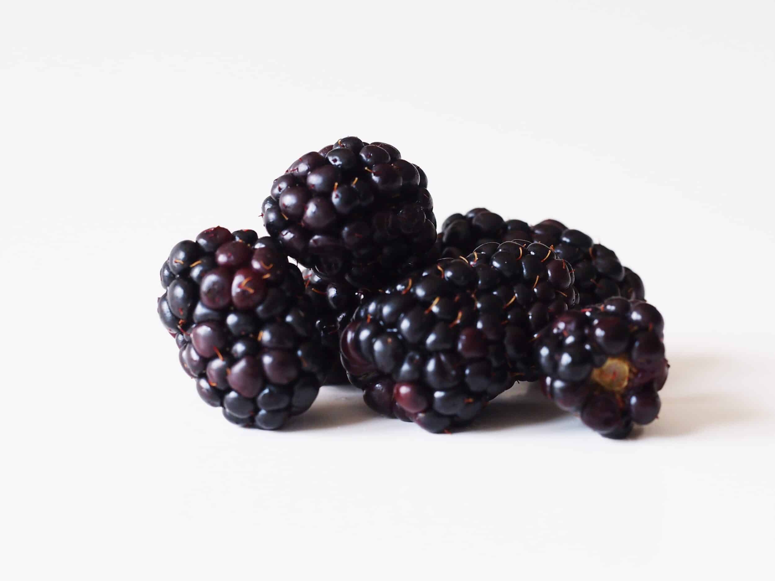 Detail Blackberry Image Nomer 3