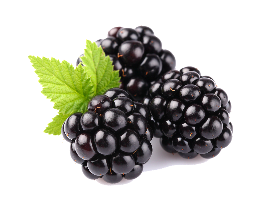 Blackberry Transparent - KibrisPDR