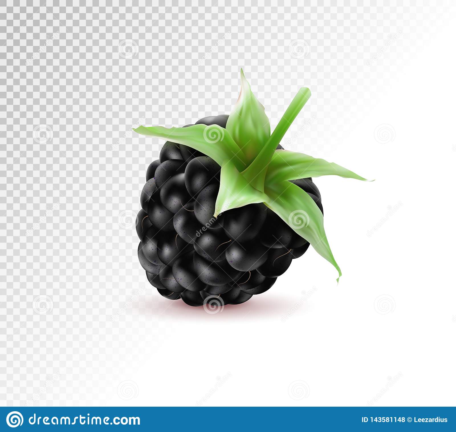 Detail Blackberry Transparent Nomer 40