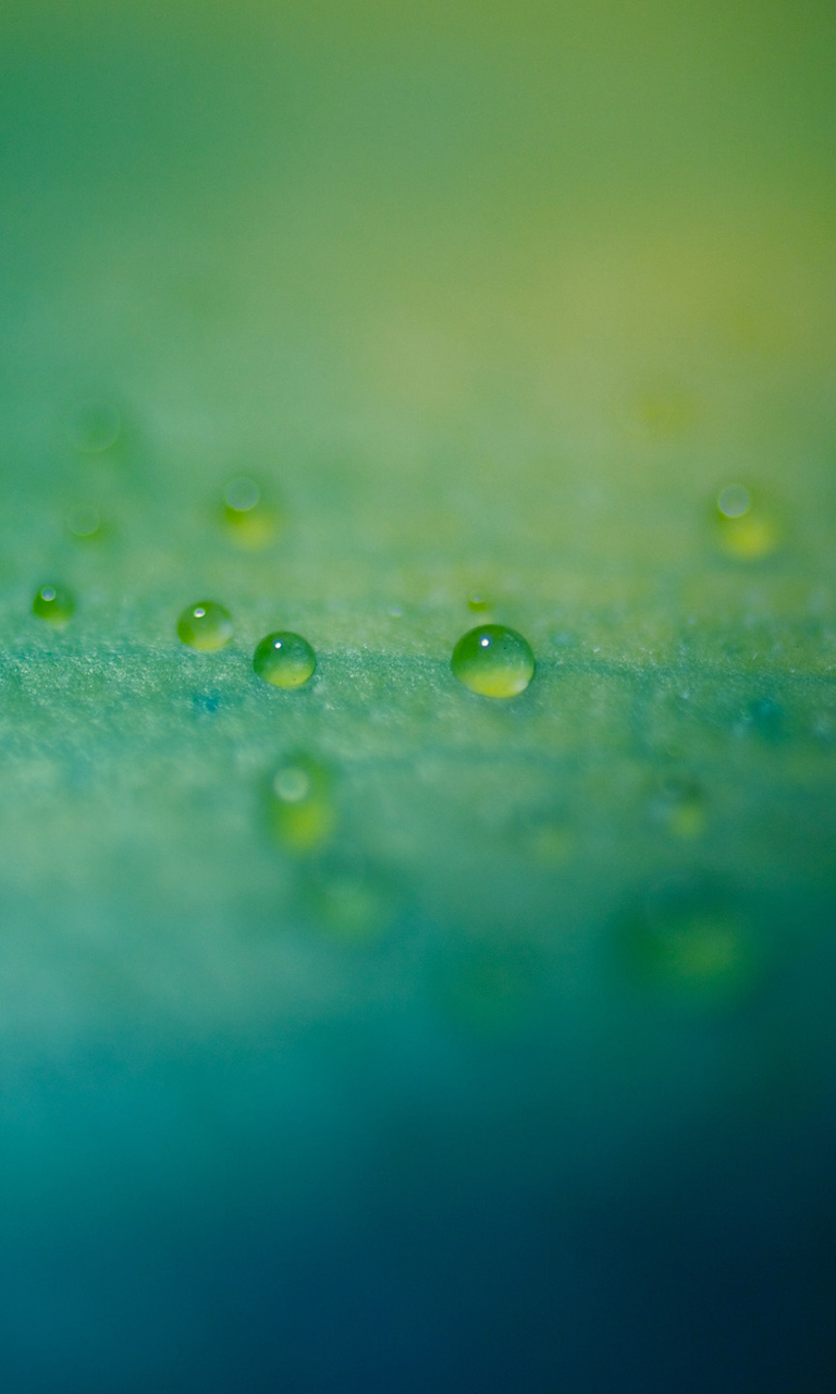 Detail Blackberry Wallpaper Nomer 53