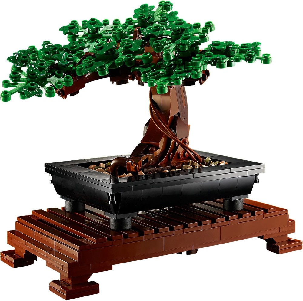 Detail Bonsai Zeichnung Nomer 13