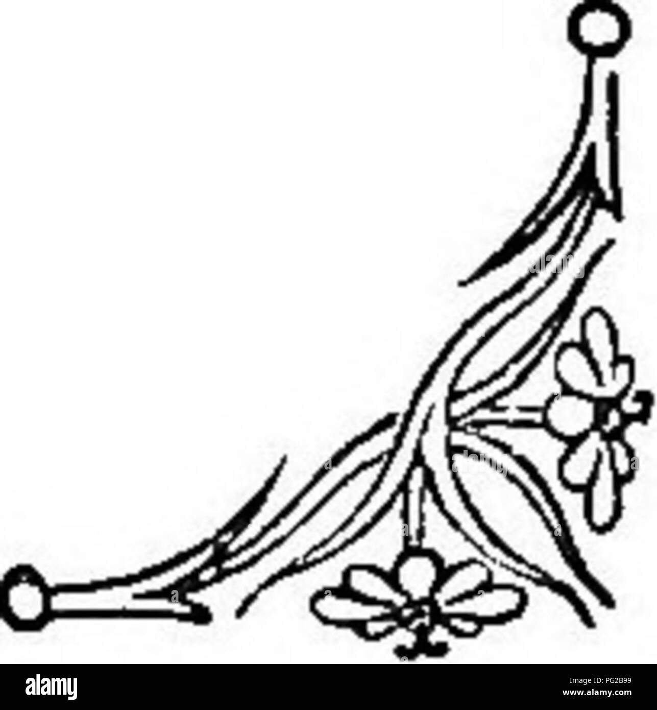 Detail Capitol Gent Nomer 21