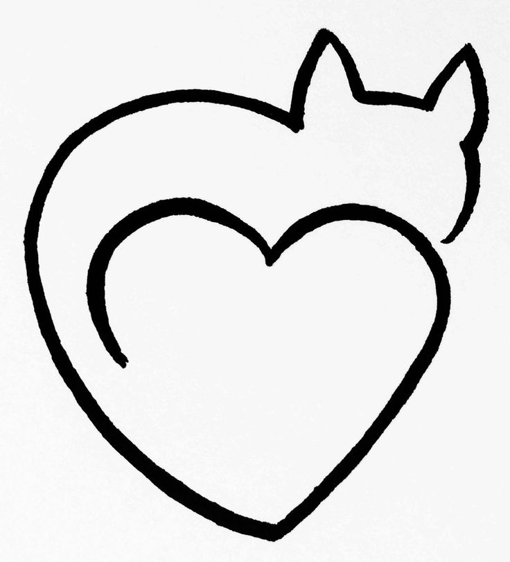 Detail Cat One Line Nomer 12
