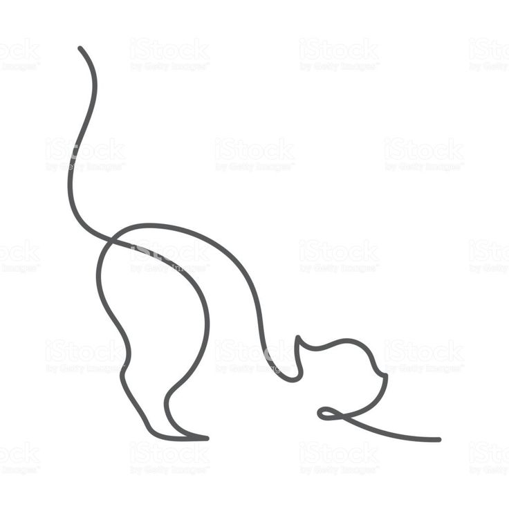 Detail Cat One Line Nomer 2