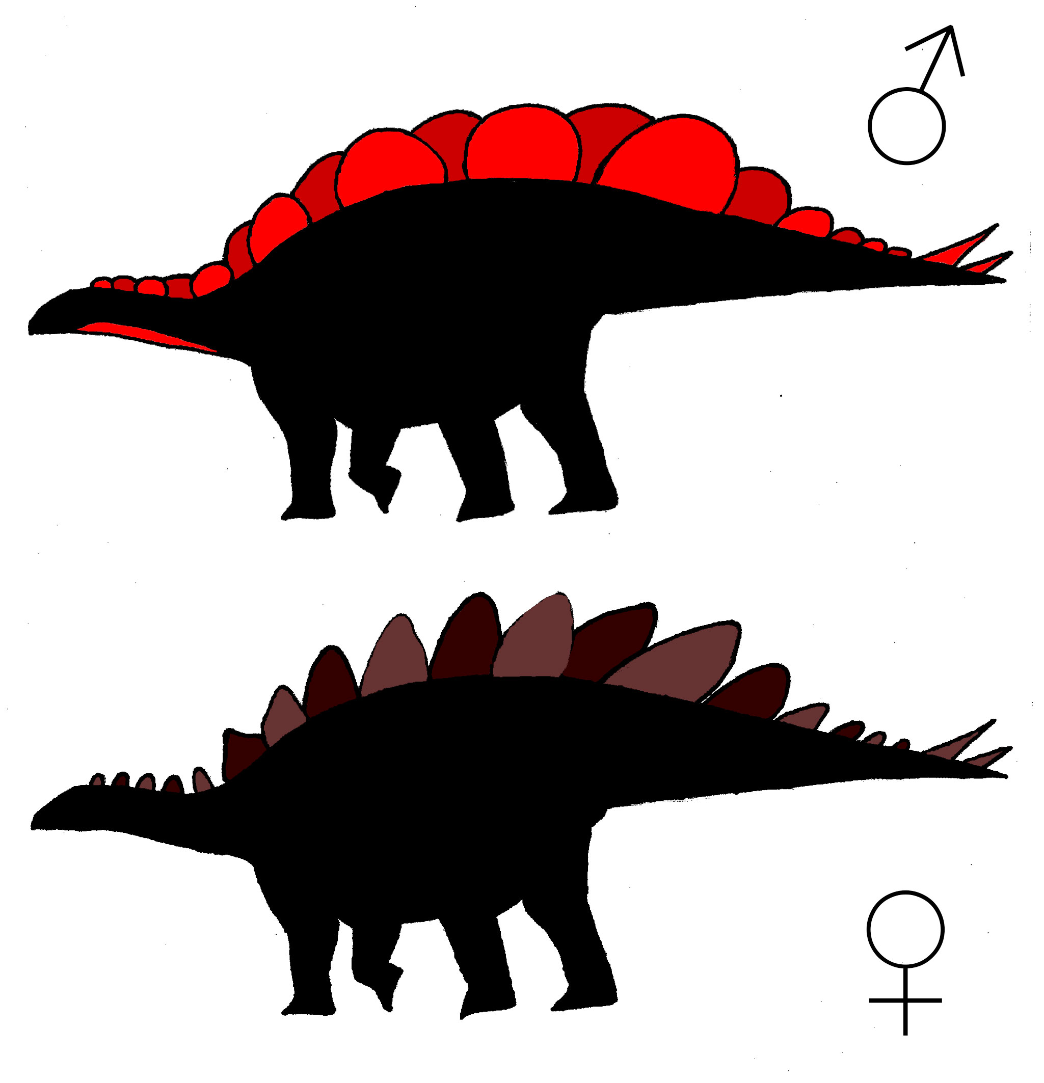 Detail Dinosaurier Stacheln Nomer 3