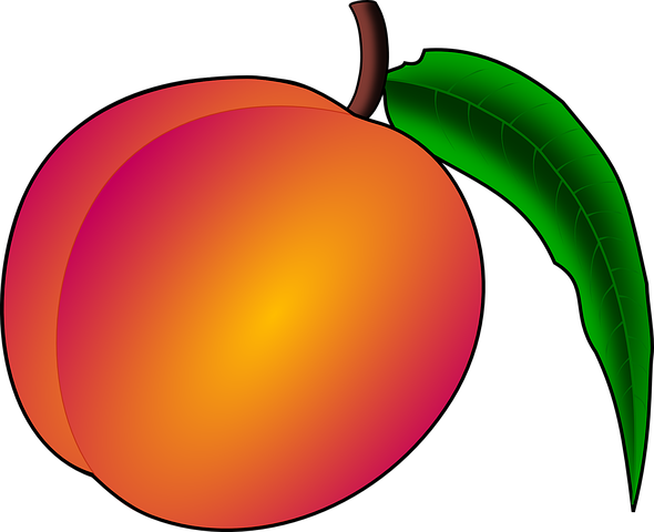 Detail Drawing Peaches Nomer 11