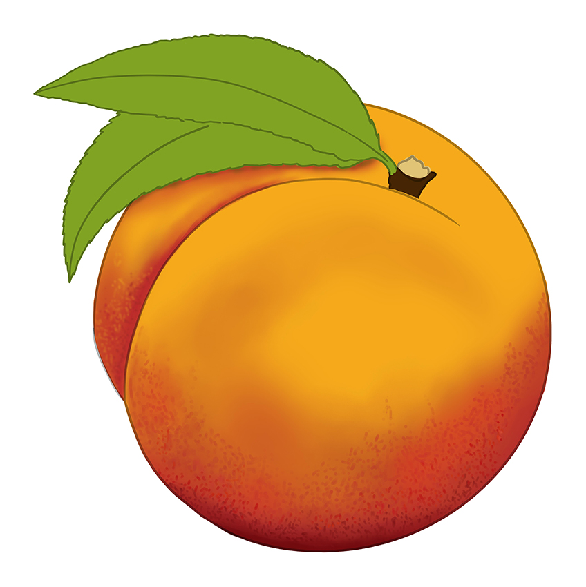 Detail Drawing Peaches Nomer 20