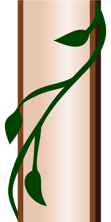 Detail Efeu Png Nomer 22