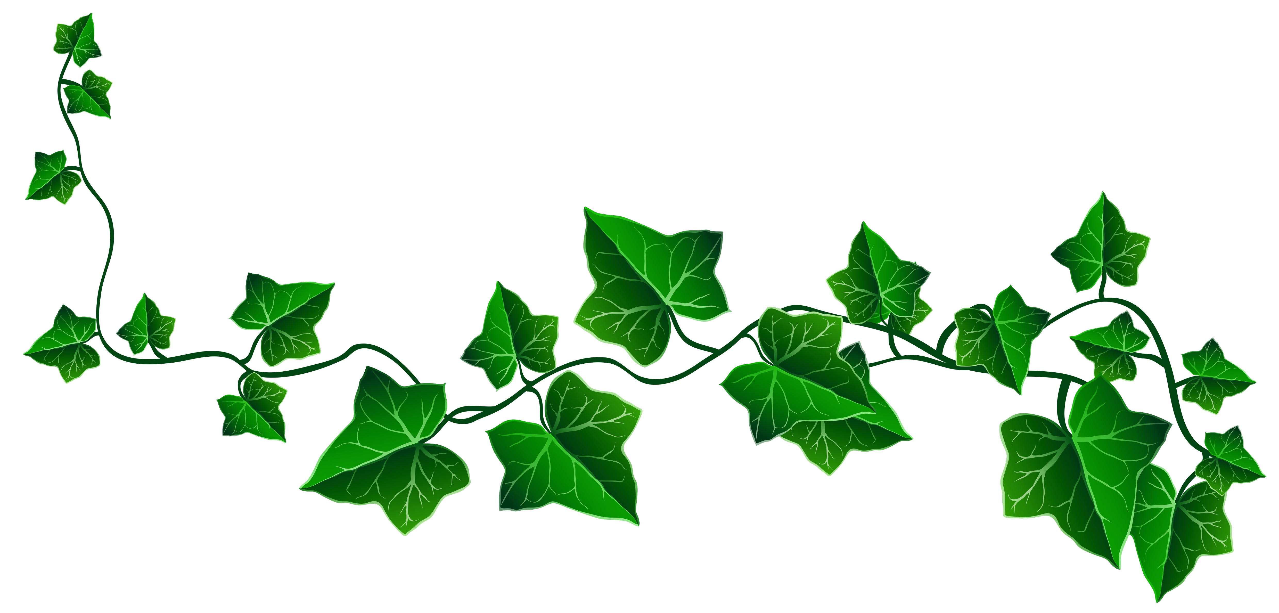 Detail Efeu Png Nomer 3