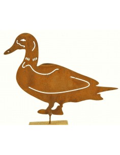 Detail Enten Bilder Nomer 6