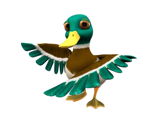 Detail Enten Bilder Nomer 7