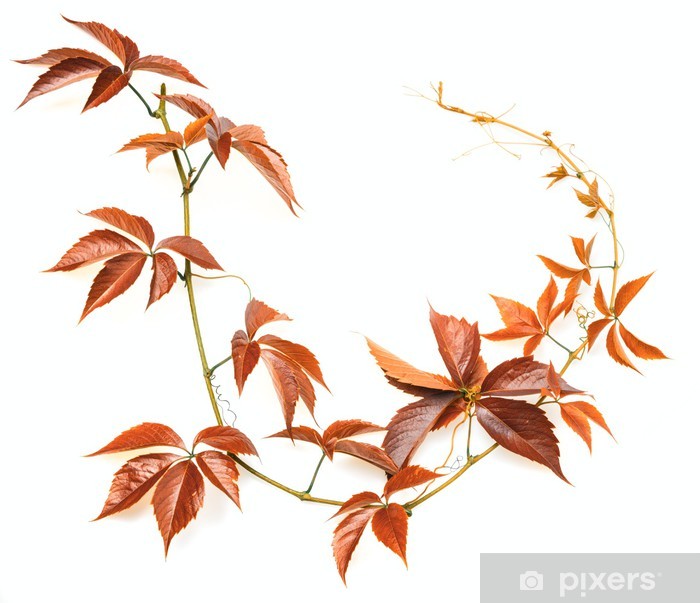 Detail Hintergrund Herbst Nomer 7