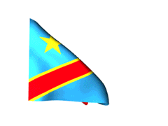 Detail Kongo Flagge Nomer 18