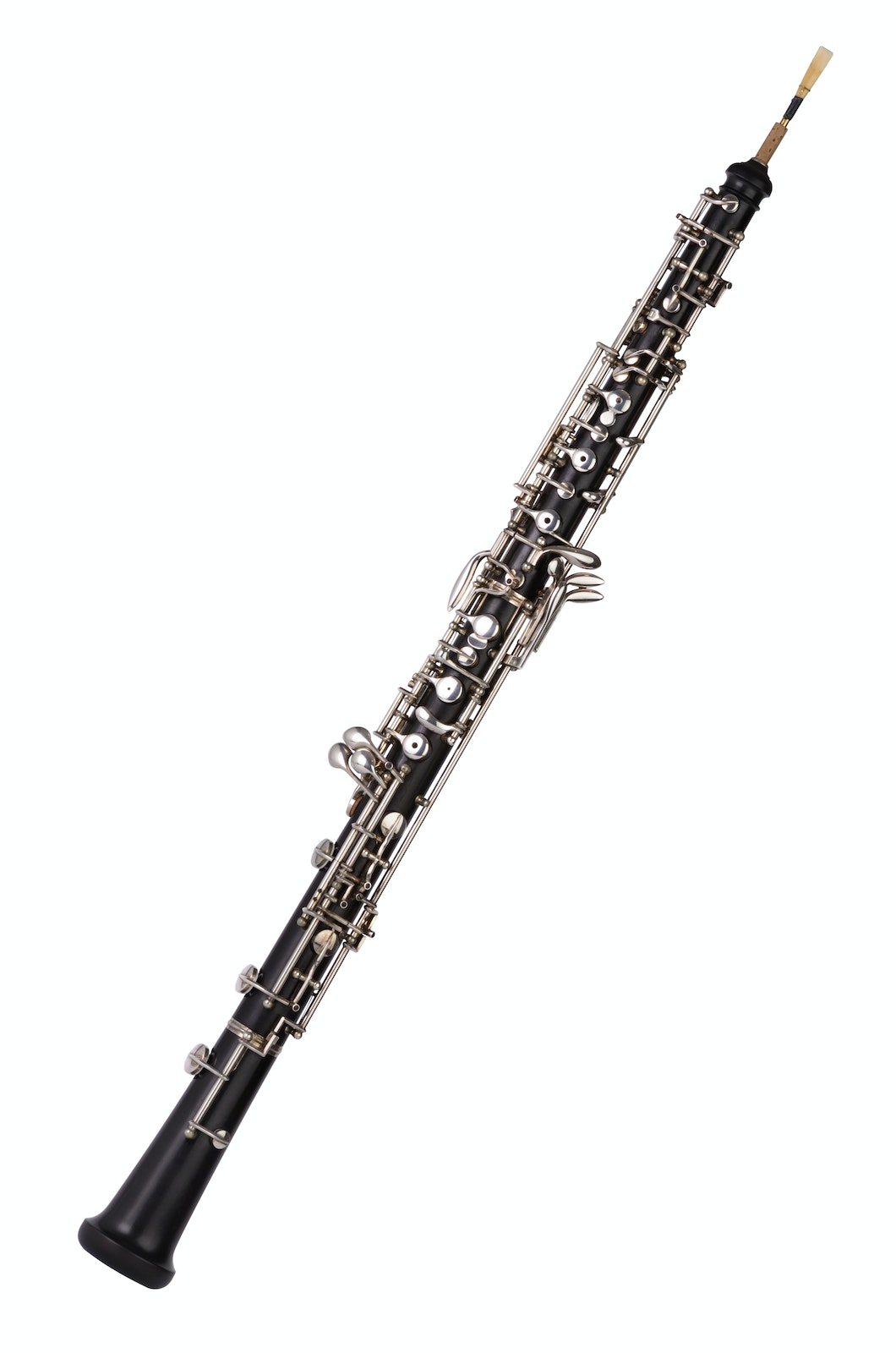 Detail Oboe Bild Nomer 6