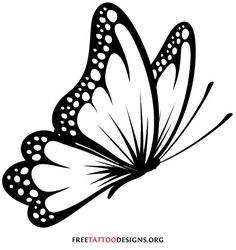 Schmetterling Seitlich - KibrisPDR