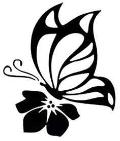 Detail Schmetterling Seitlich Nomer 14