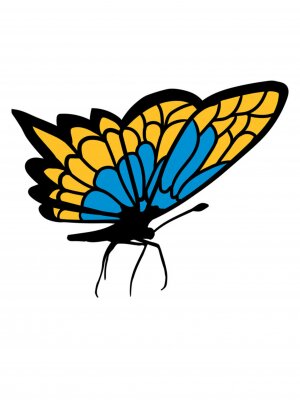 Detail Schmetterling Seitlich Nomer 16