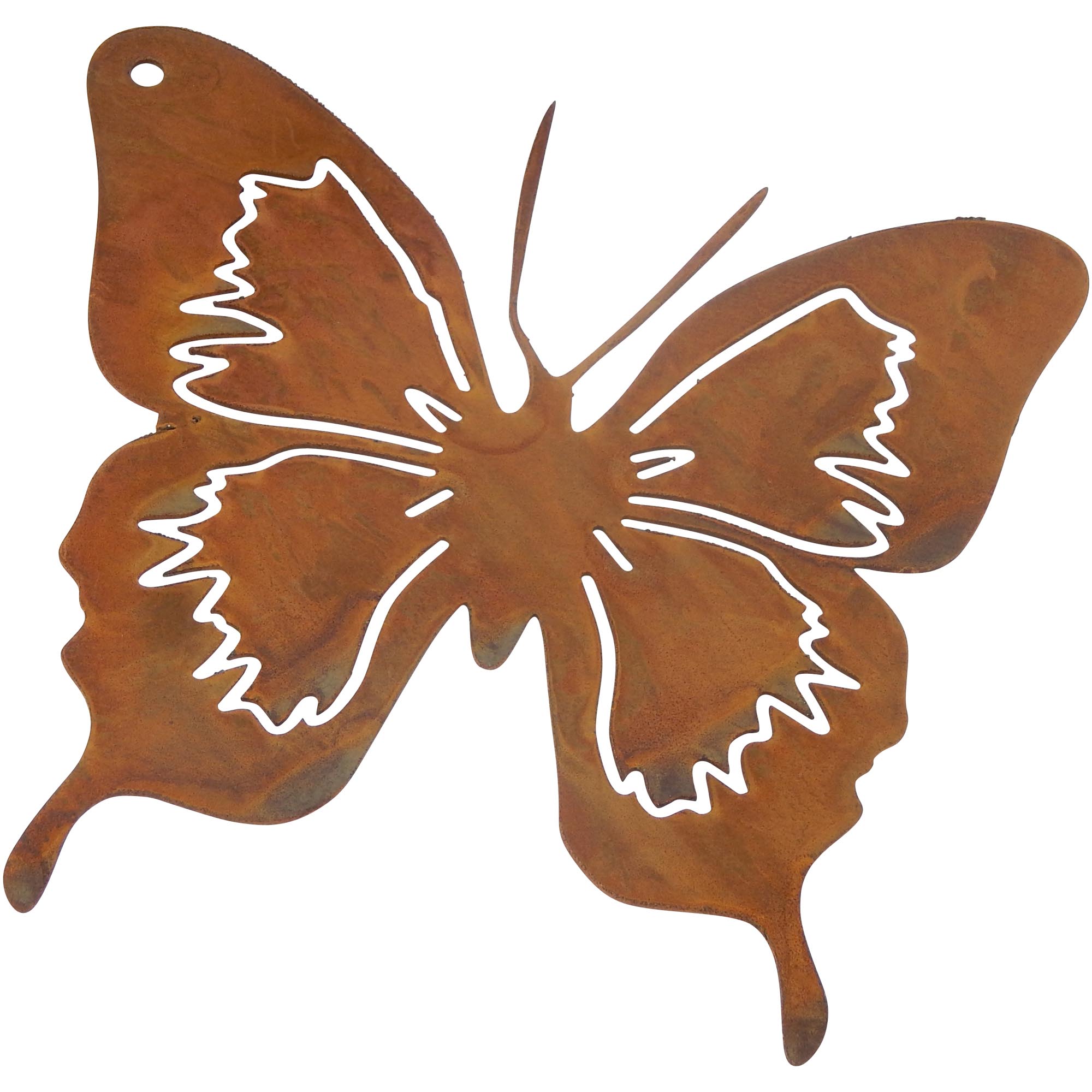 Detail Schmetterling Seitlich Nomer 21